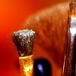 Makeup Brush Set
