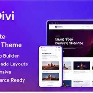 Divi Theme
